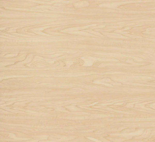 ESSY Desk, 30x66