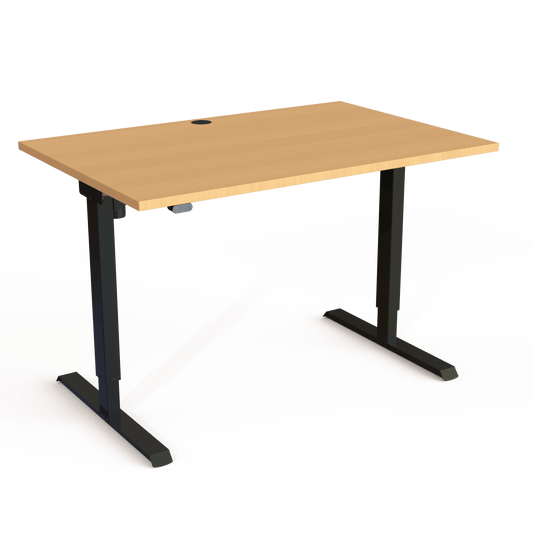 Electric Height Adjustable Desk, 47-1/4" x 31-1/2" | Standing Desks