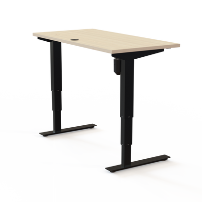 Electric Height Adjustable Desk, 47-1/4" x 23-5/8"