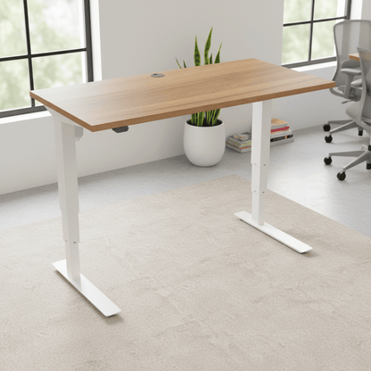 ConSet White / Walnut Electric Height Adjustable Desk, 47-1/4" x 23-5/8"